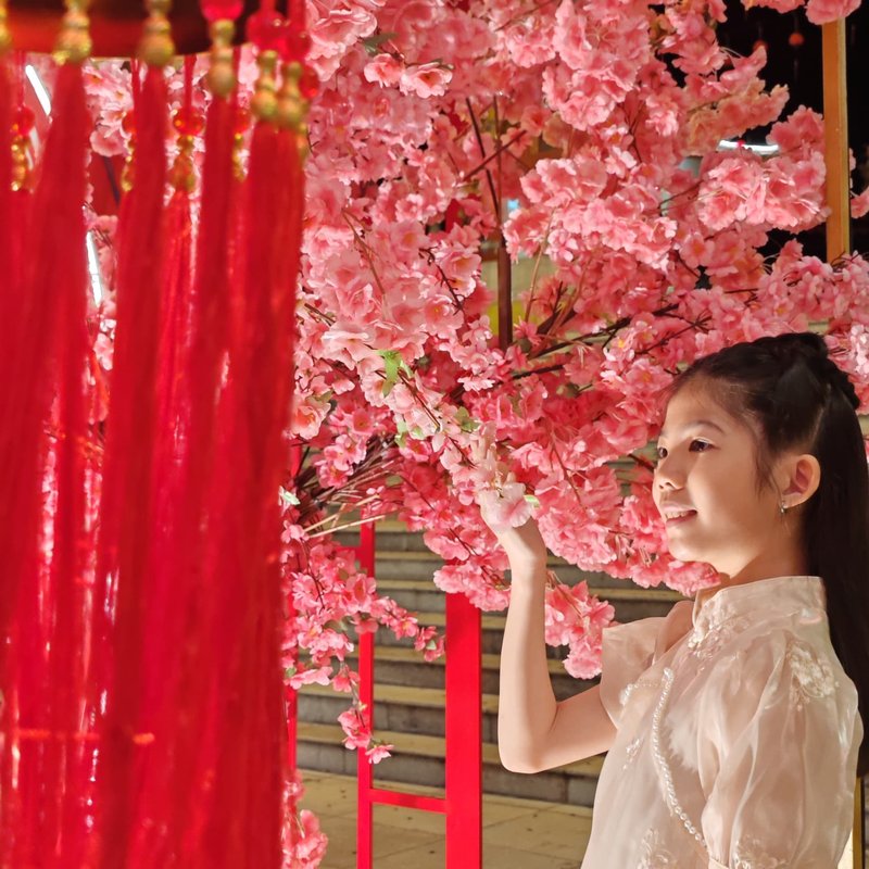 HONG JIN RU