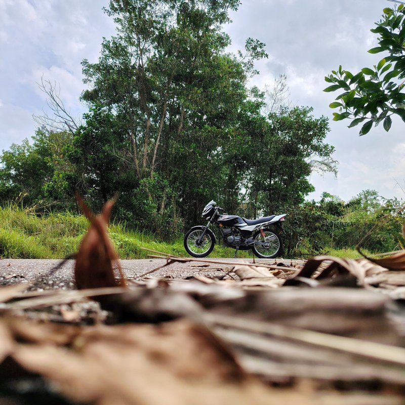 REDZUAN HAMID
