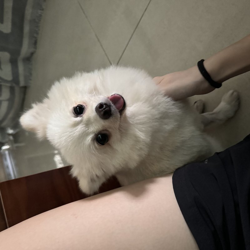 Qi Xuan Teo