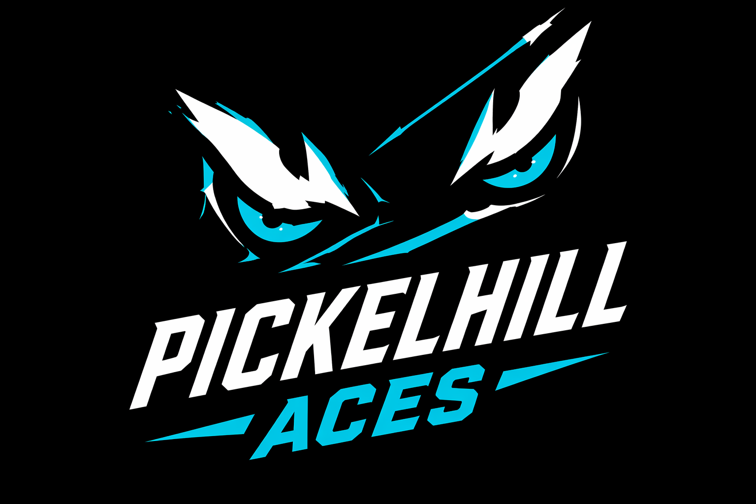 Pickelhill Aces